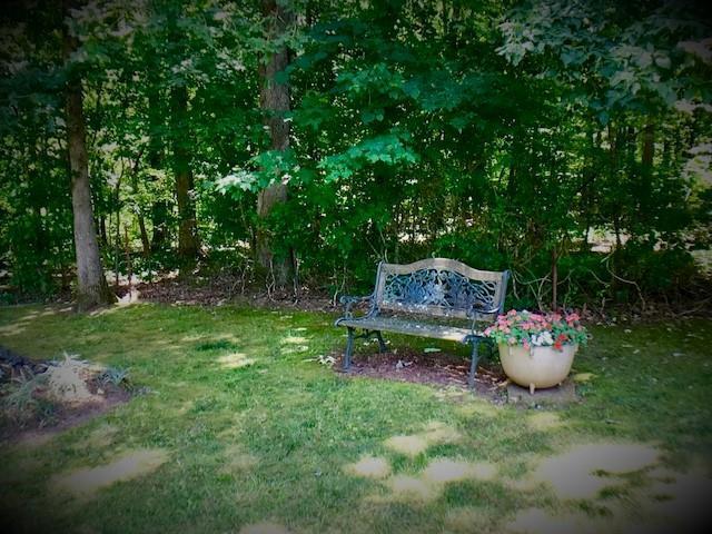 1854 Levon Sparkman Road Doyle, TN 38559 - Photo 29 of 33 Back Yard Shady Corner