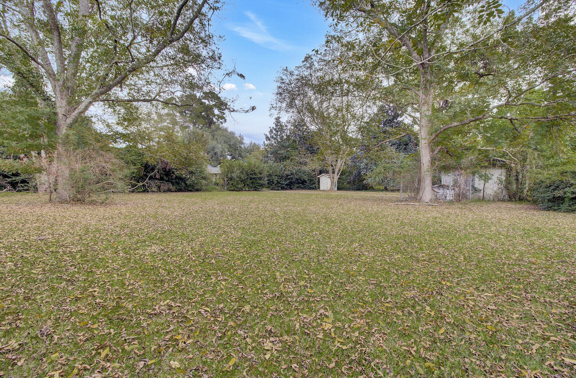 557 Mt Zion Road St. George, SC 29477 - Photo 38 of 66 38_38_mls