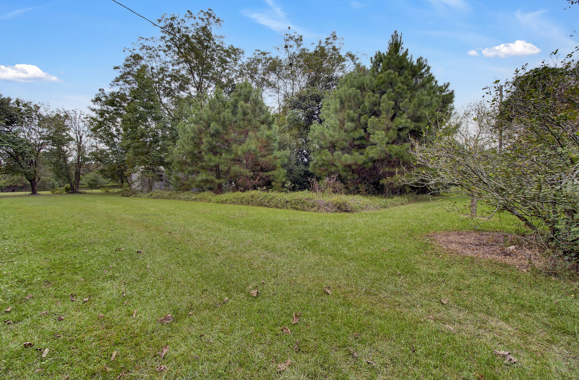 557 Mt Zion Road St. George, SC 29477 - Photo 56 of 66 56_56_mls