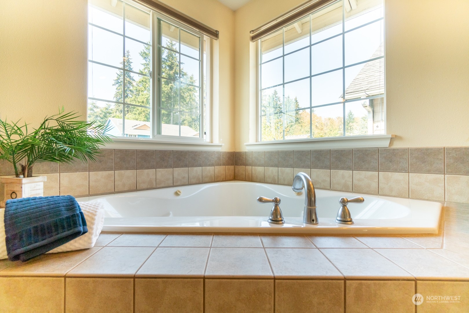 23911 22nd Avenue West Bothell, WA 98021 - Photo 23 of 27 a bathroom with a tub and potted plant