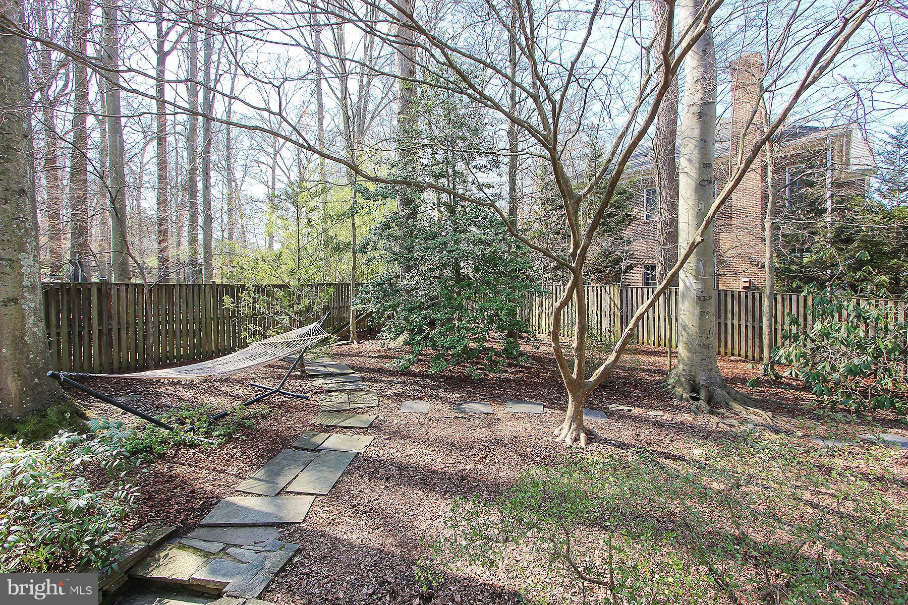 8536 West Howell Road Bethesda, MD 20817 - Photo 27 of 29 Relaxing