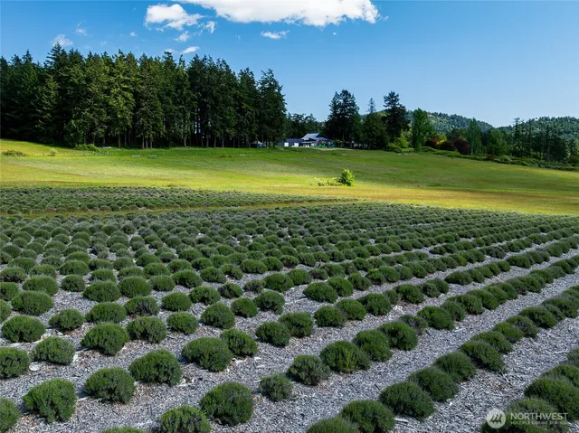 a view of a big yard