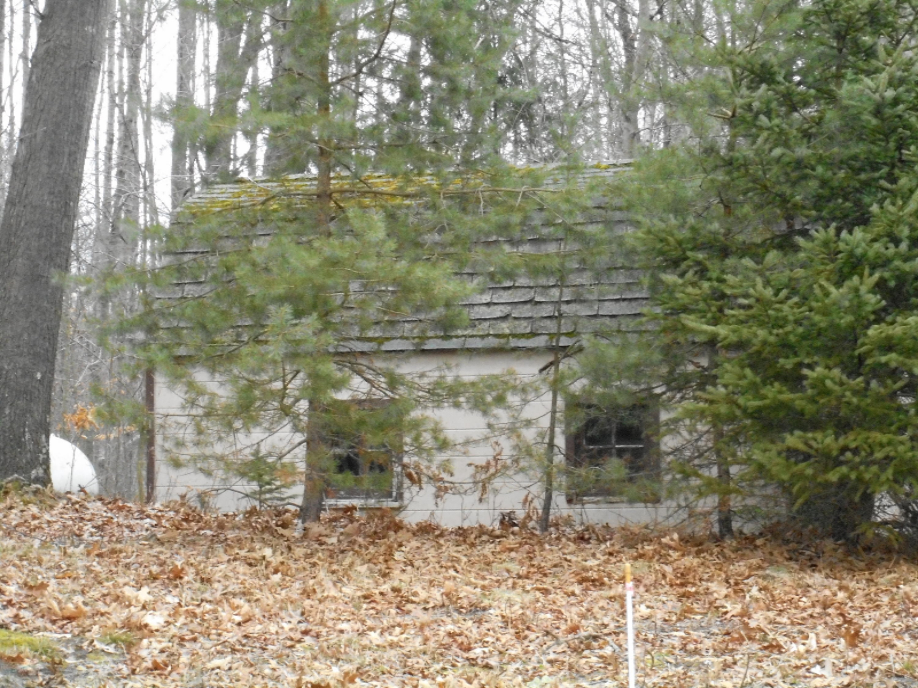 6635 Zellar Road Whitehall, MI 49461 - Photo 9 of 12 shed