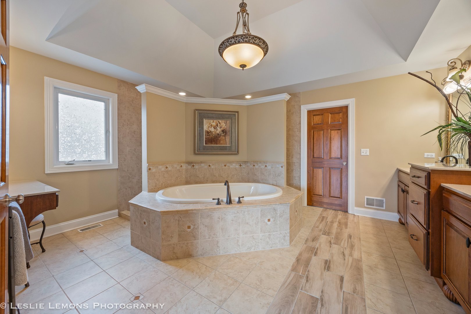 4012 Champion Road Naperville, IL 60564 - Photo 19 of 47