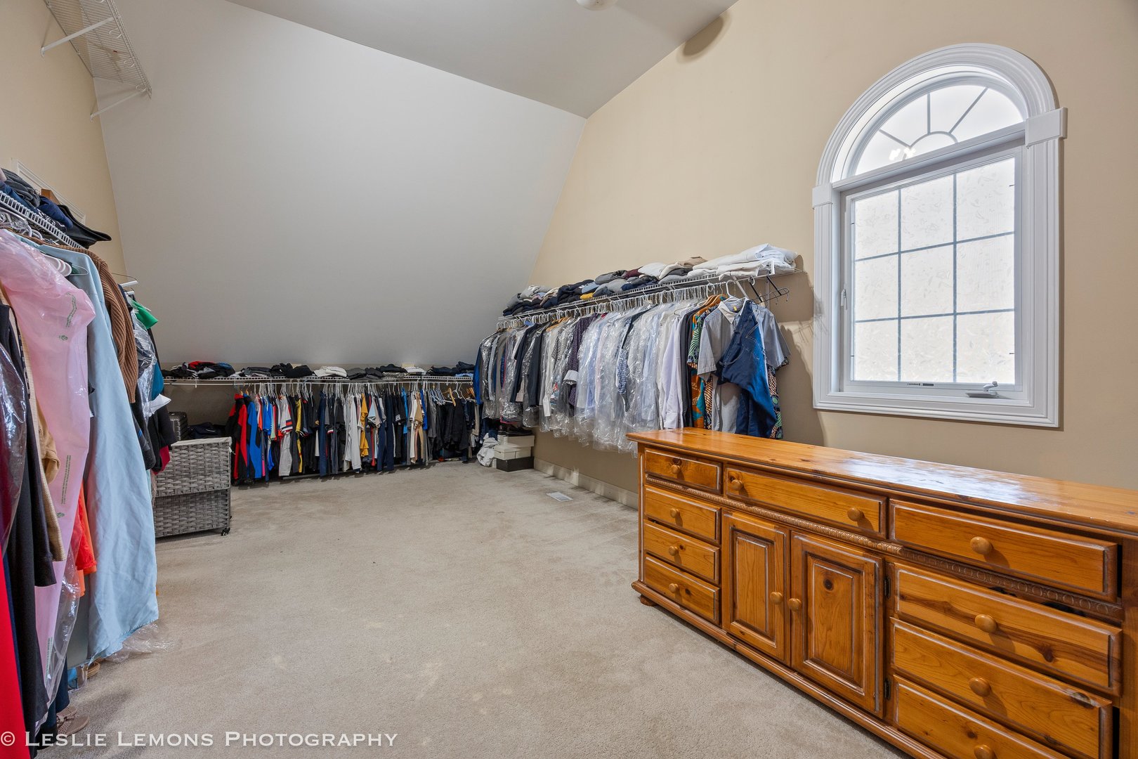 4012 Champion Road Naperville, IL 60564 - Photo 21 of 47