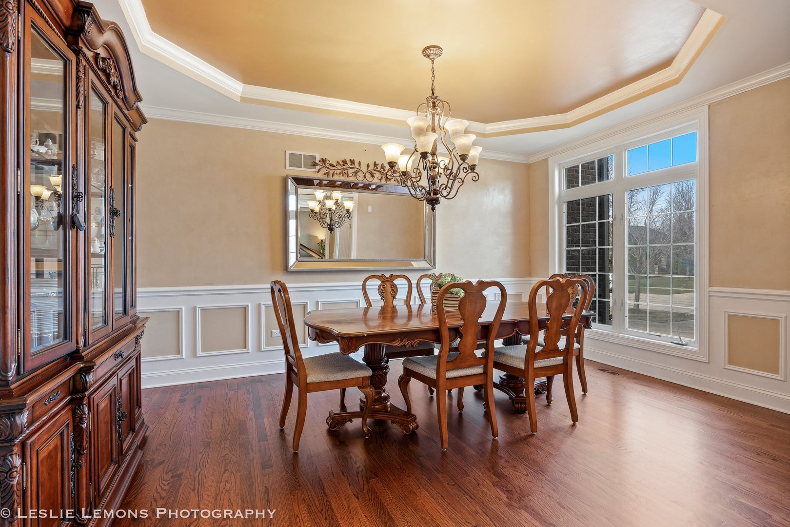 4012 Champion Road Naperville, IL 60564 - Photo 4 of 47