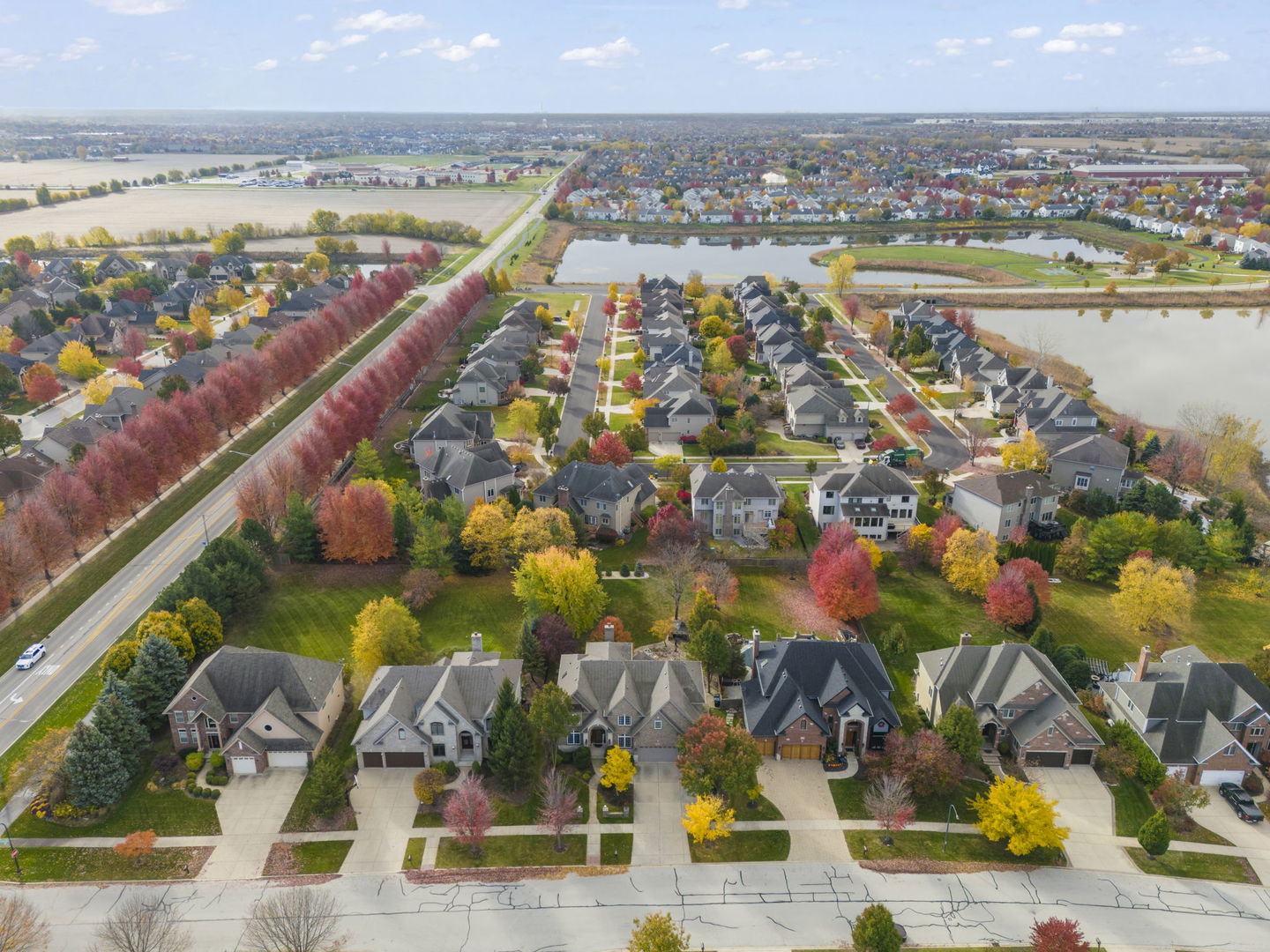 4012 Champion Road Naperville, IL 60564 - Photo 46 of 47