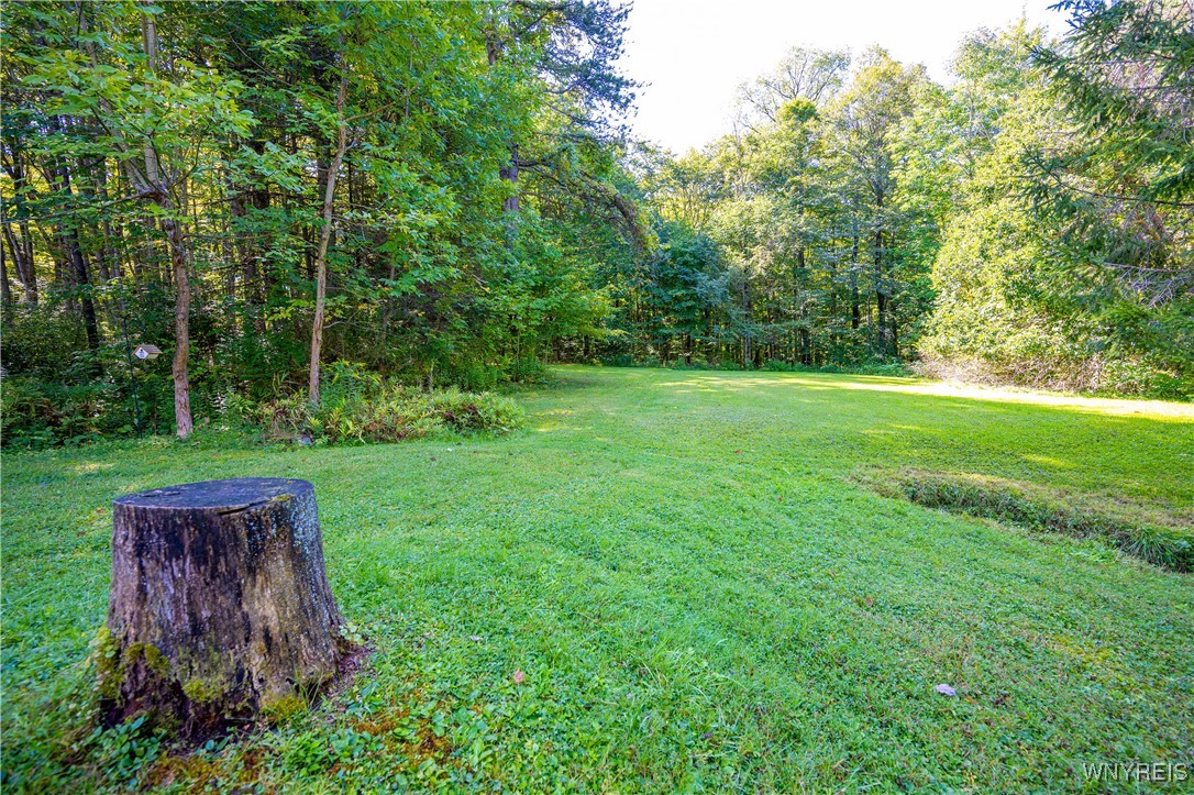 9299 Blanchard Road Colden, NY 14033 - Photo 13 of 50