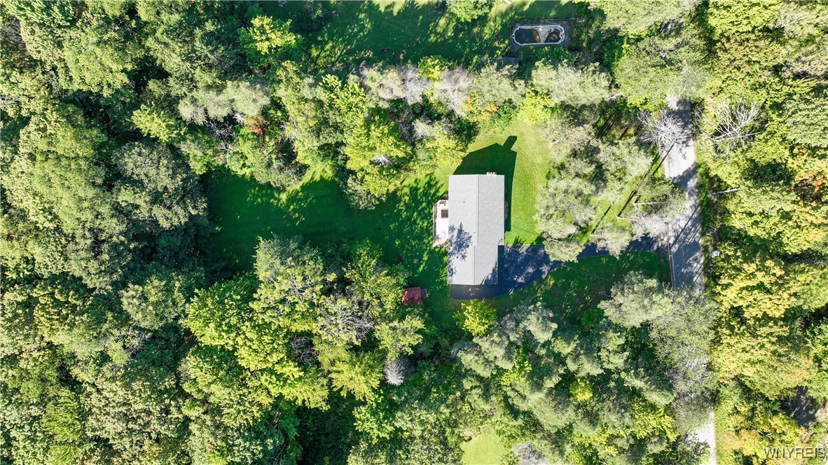 9299 Blanchard Road Colden, NY 14033 - Photo 45 of 50