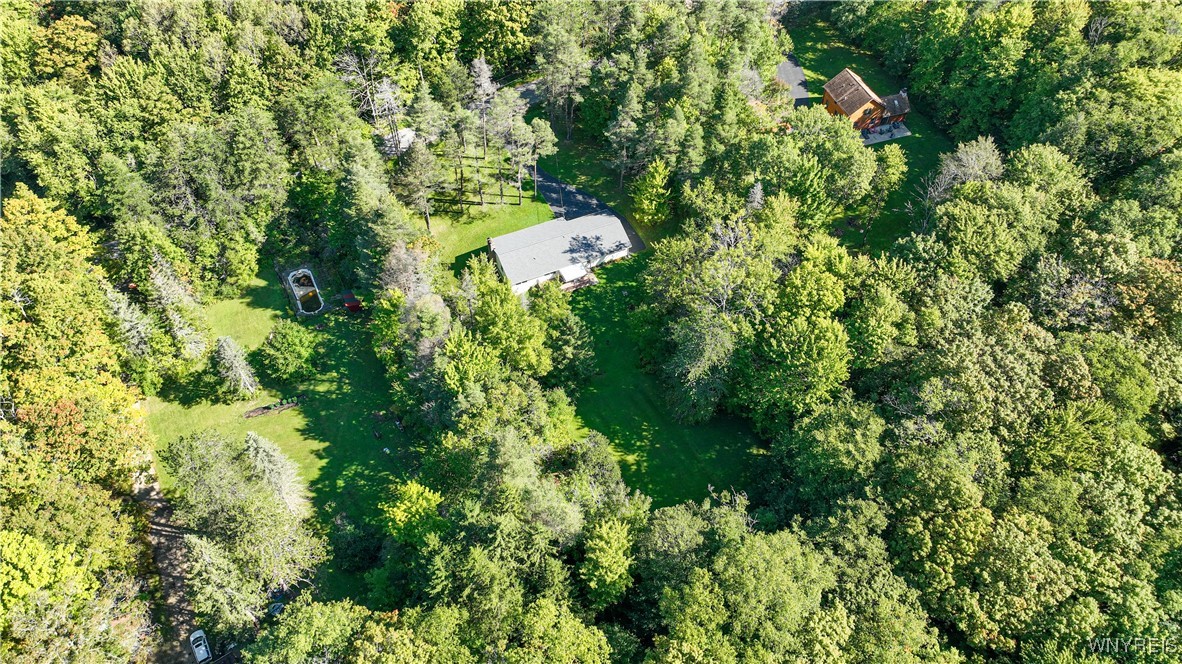 9299 Blanchard Road Colden, NY 14033 - Photo 48 of 50