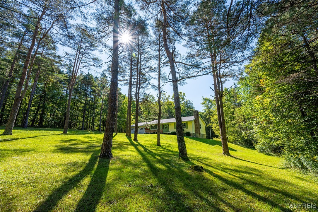 9299 Blanchard Road Colden, NY 14033 - Photo 6 of 50