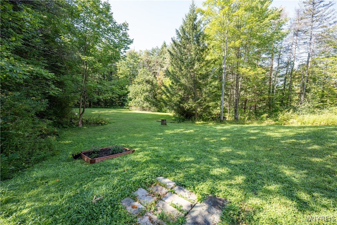 9299 Blanchard Road Colden, NY 14033 - Photo 8 of 50