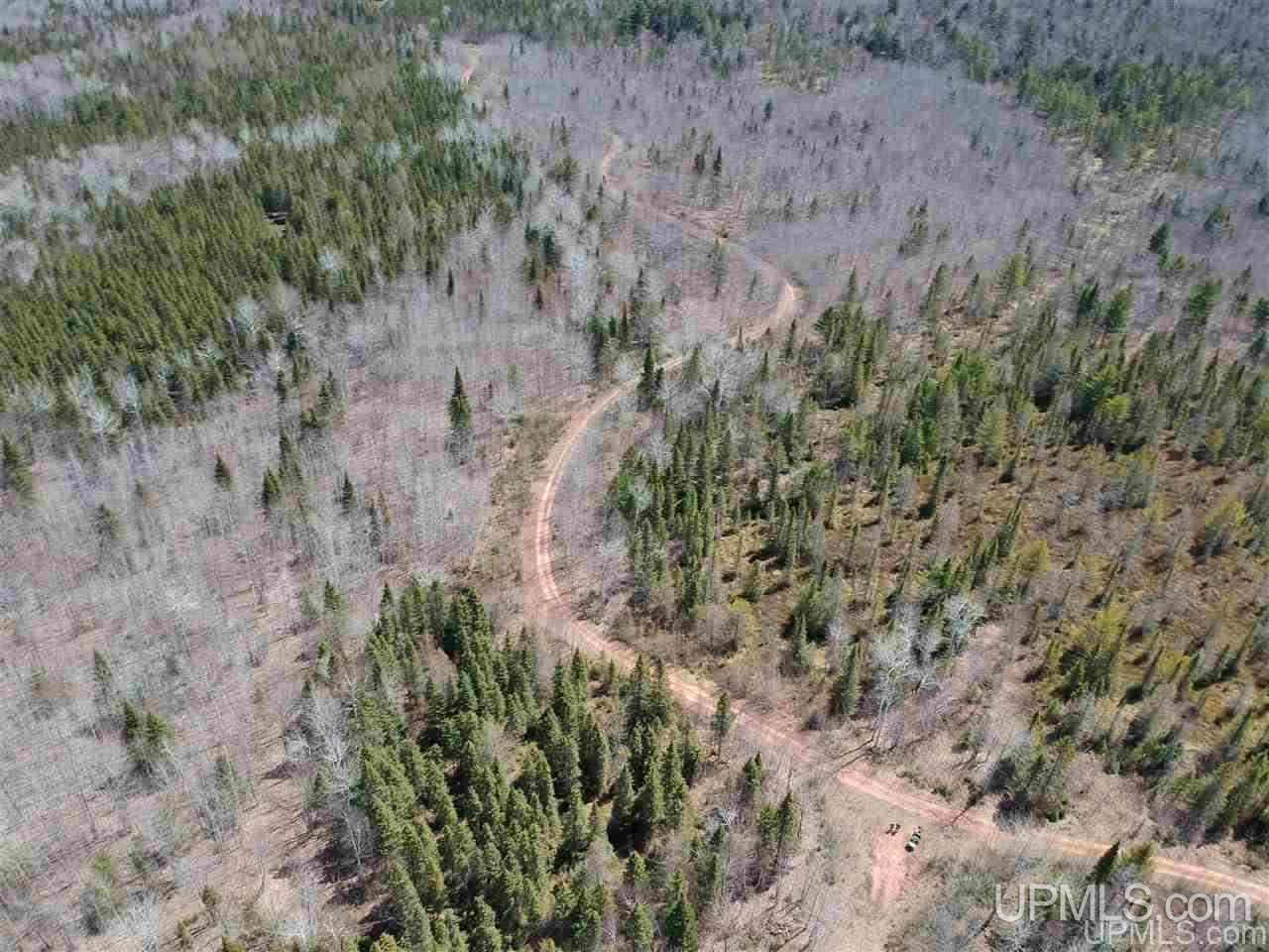 Tbd Mud Lake Road Lake Linden, MI 49945 - Photo 3 of 18