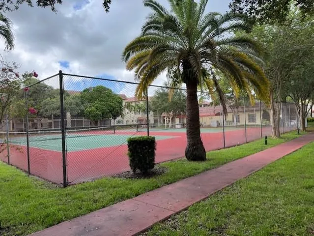 a view of a park with palm trees