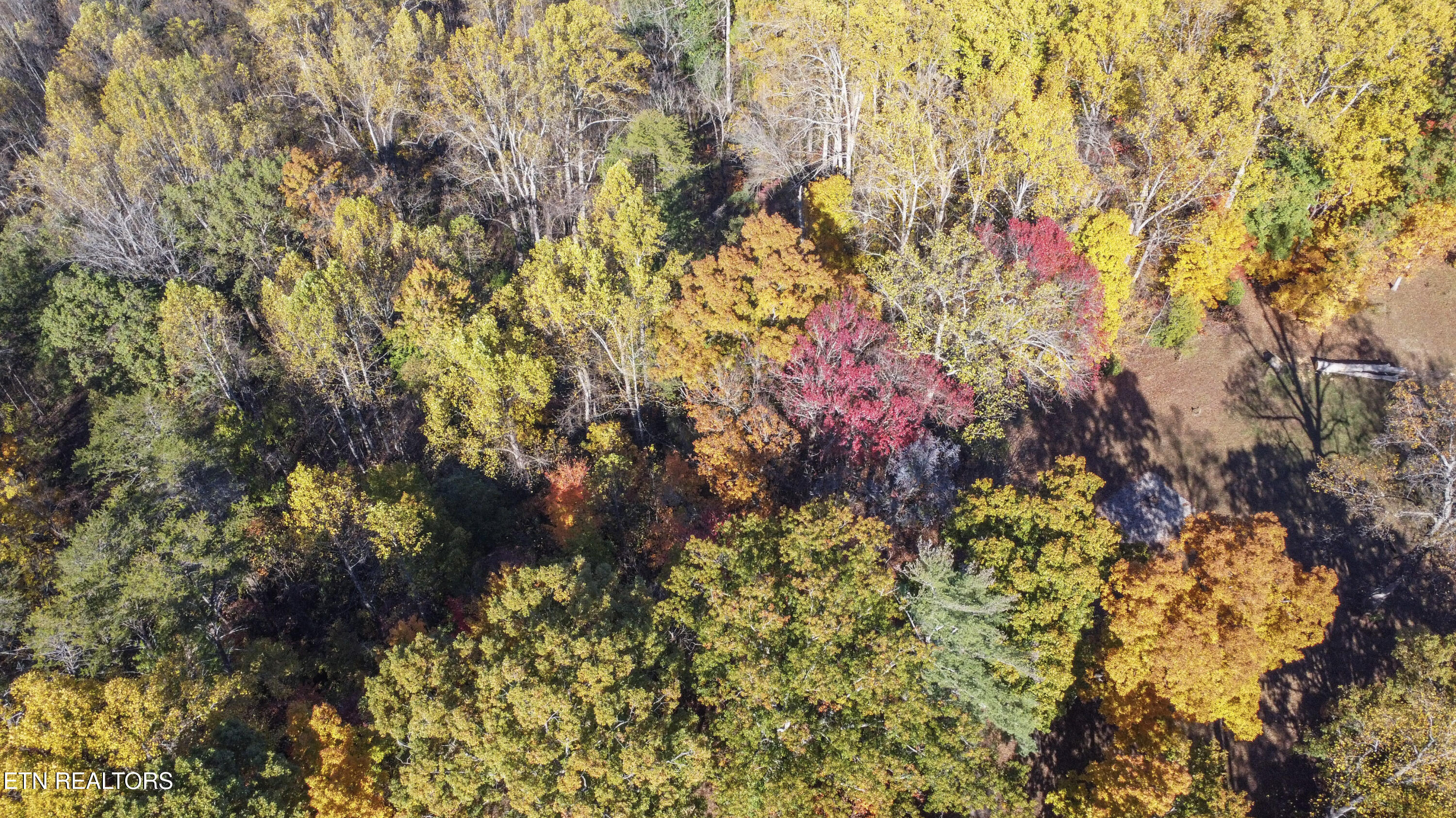 drone_2[1]