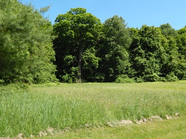 178 Montague Road Sunderland, MA 01375 - Photo 4 of 23