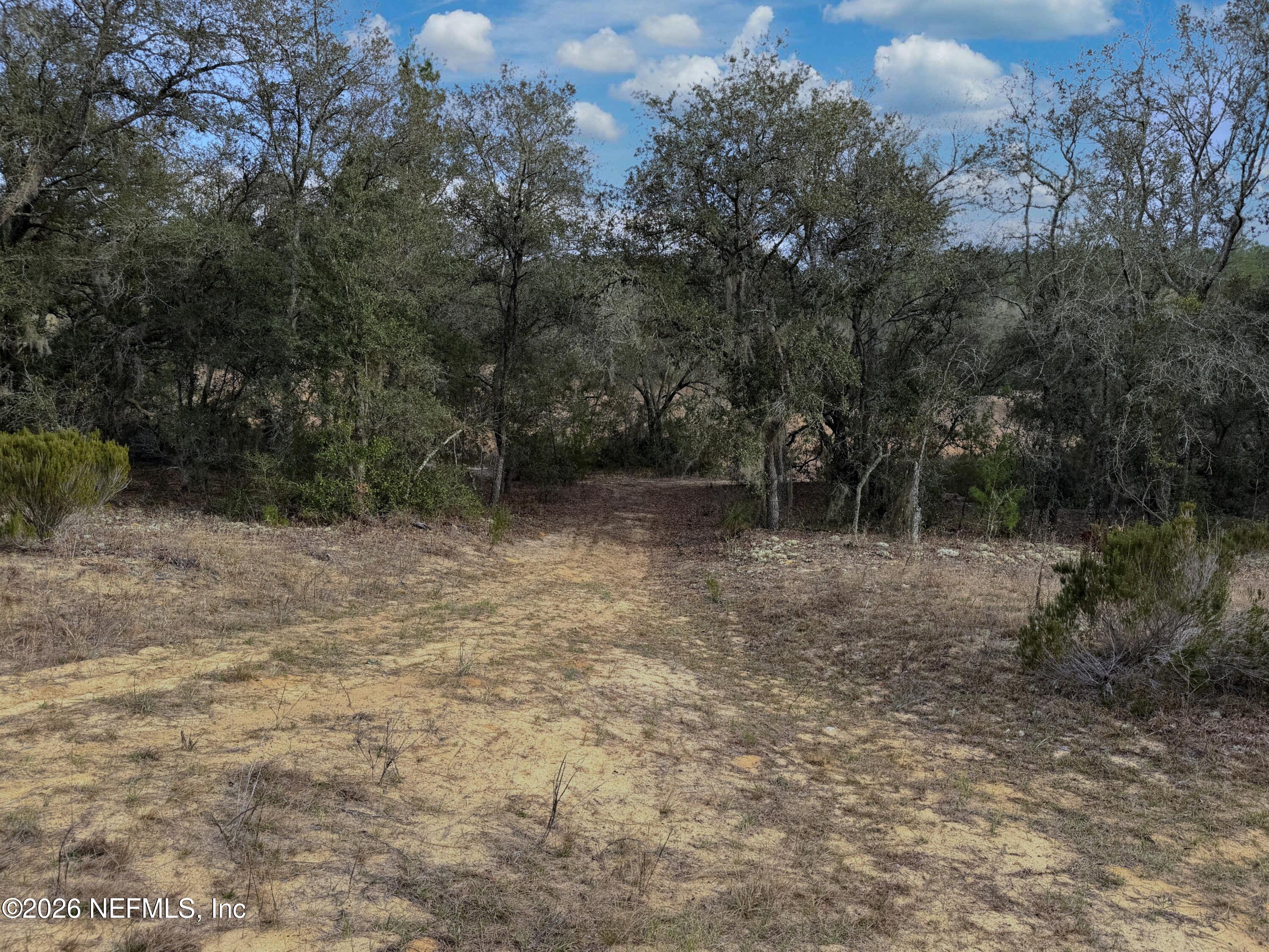 0 Citrus Drive Interlachen, FL 32148 - Photo 11 of 13 a view of outdoor space and yard