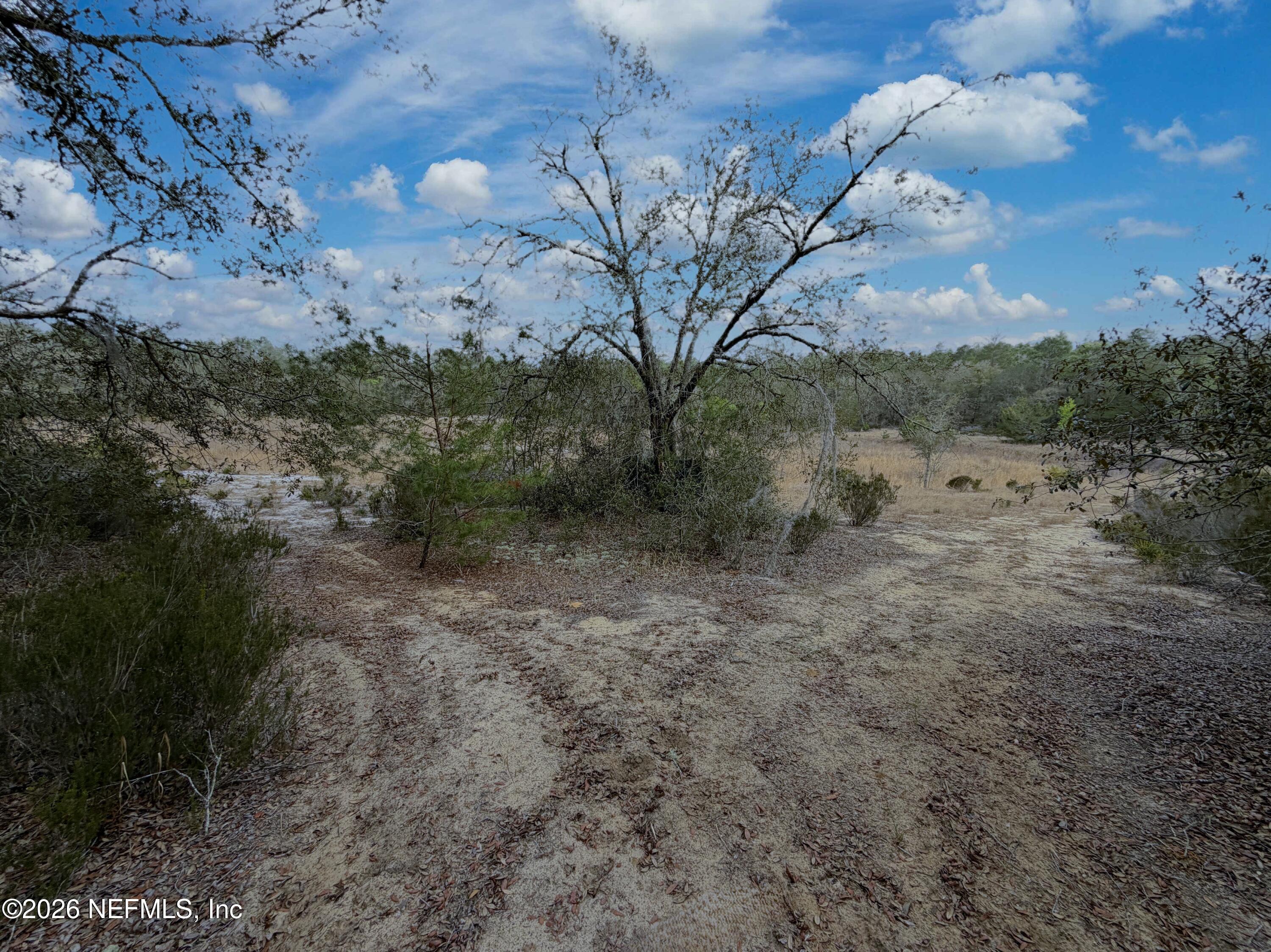 0 Citrus Drive Interlachen, FL 32148 - Photo 12 of 13 a view of a dry yard with wooden fence