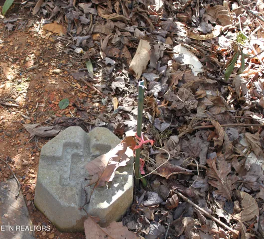 $154,900 | 299 Harmony Way, Cosby, TN 37722