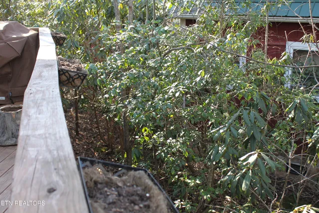 $154,900 | 299 Harmony Way, Cosby, TN 37722