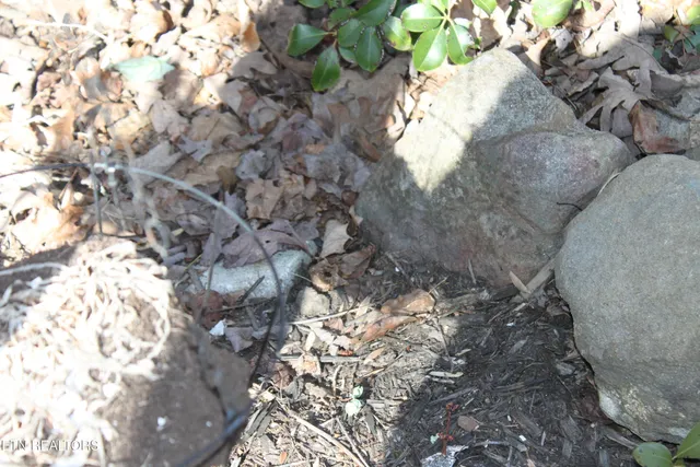 $154,900 | 299 Harmony Way, Cosby, TN 37722