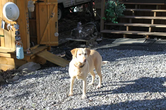 $154,900 | 299 Harmony Way, Cosby, TN 37722