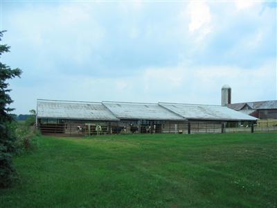 9917 Gravel Ridge Road Lakeview, MI 48850 - Photo 5 of 5 Additional Photo