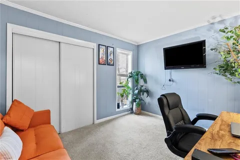 a livingroom with a couch and a potted plant