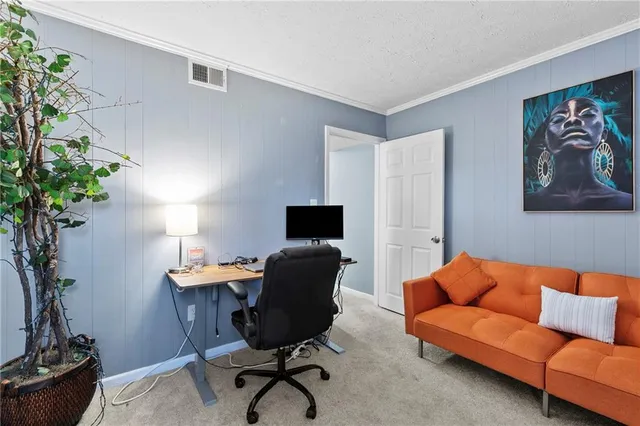 a living room with furniture potted plant and a rug