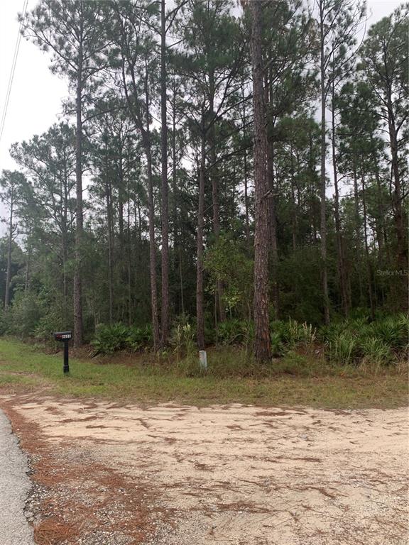 Oil Well Road Clermont, FL 34714 - Photo 3 of 14 Gallery Image 3