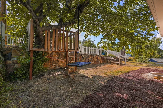 a view of a park with large trees