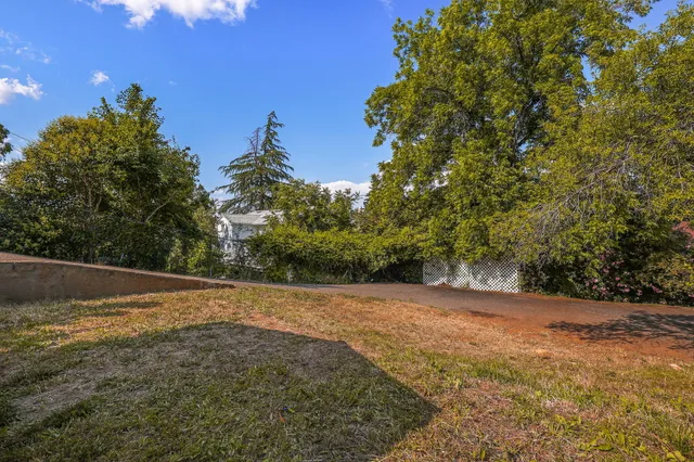 a view of a yard with a tree