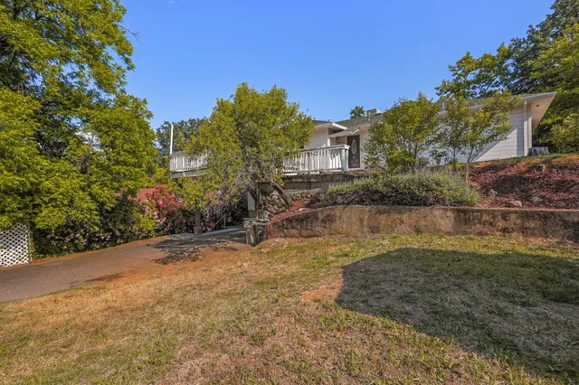 a view of a backyard with plants and large trees