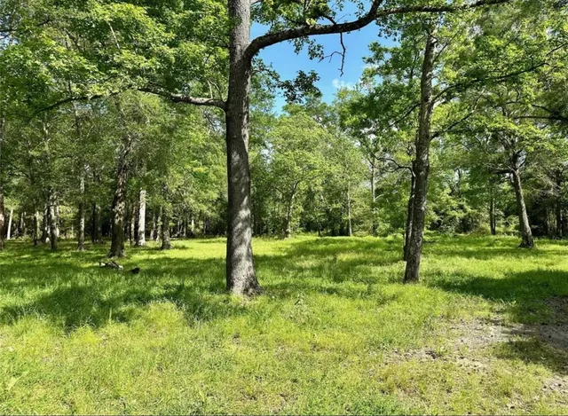 $2,500 | 30106 Huffman Cleveland Road, Huffman, TX 77336