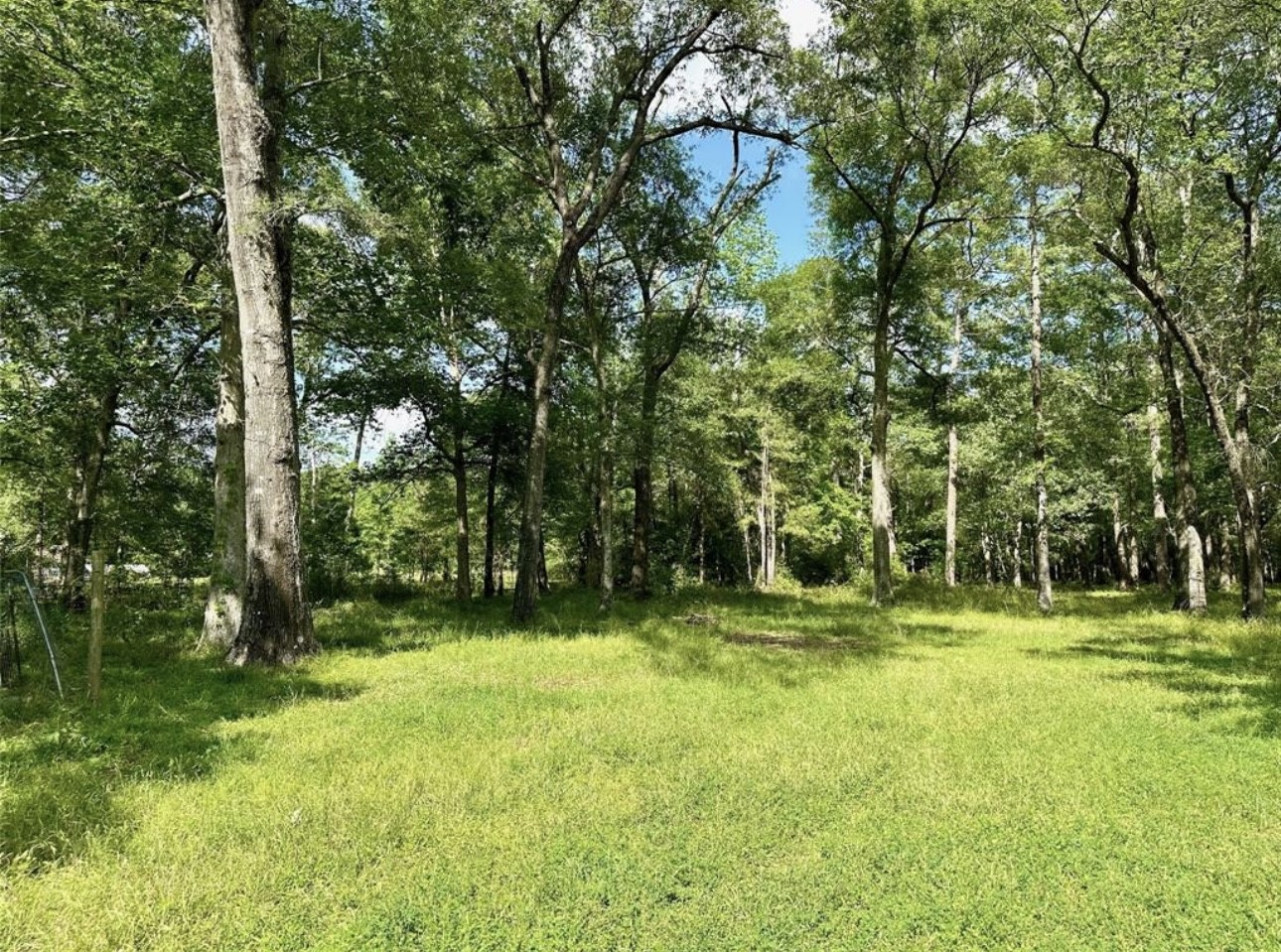 30106 Huffman Cleveland Road Huffman, TX 77336 - Photo 4 of 14