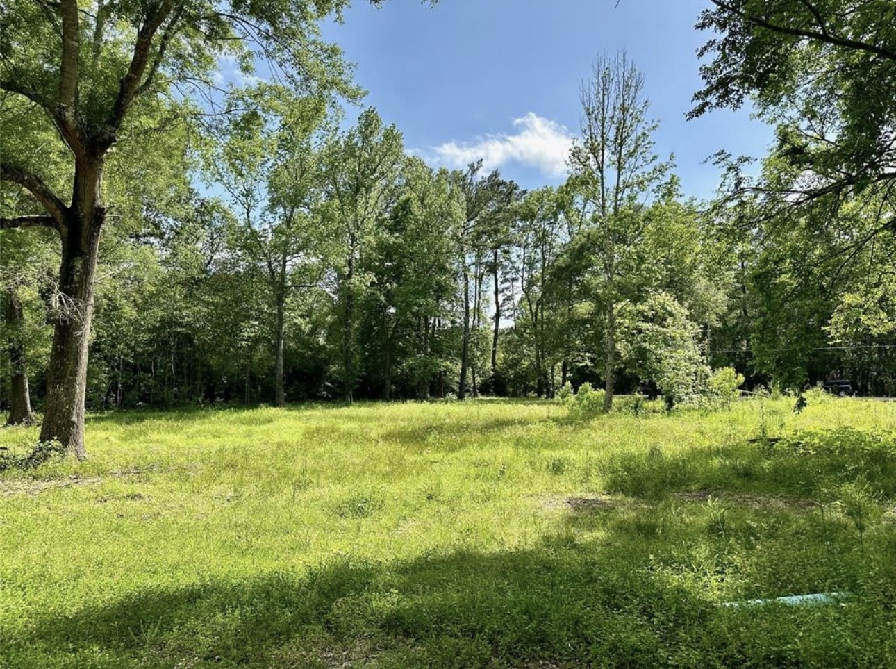 30106 Huffman Cleveland Road Huffman, TX 77336 - Photo 5 of 14