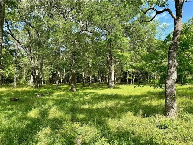 $2,500 | 30106 Huffman Cleveland Road, Huffman, TX 77336