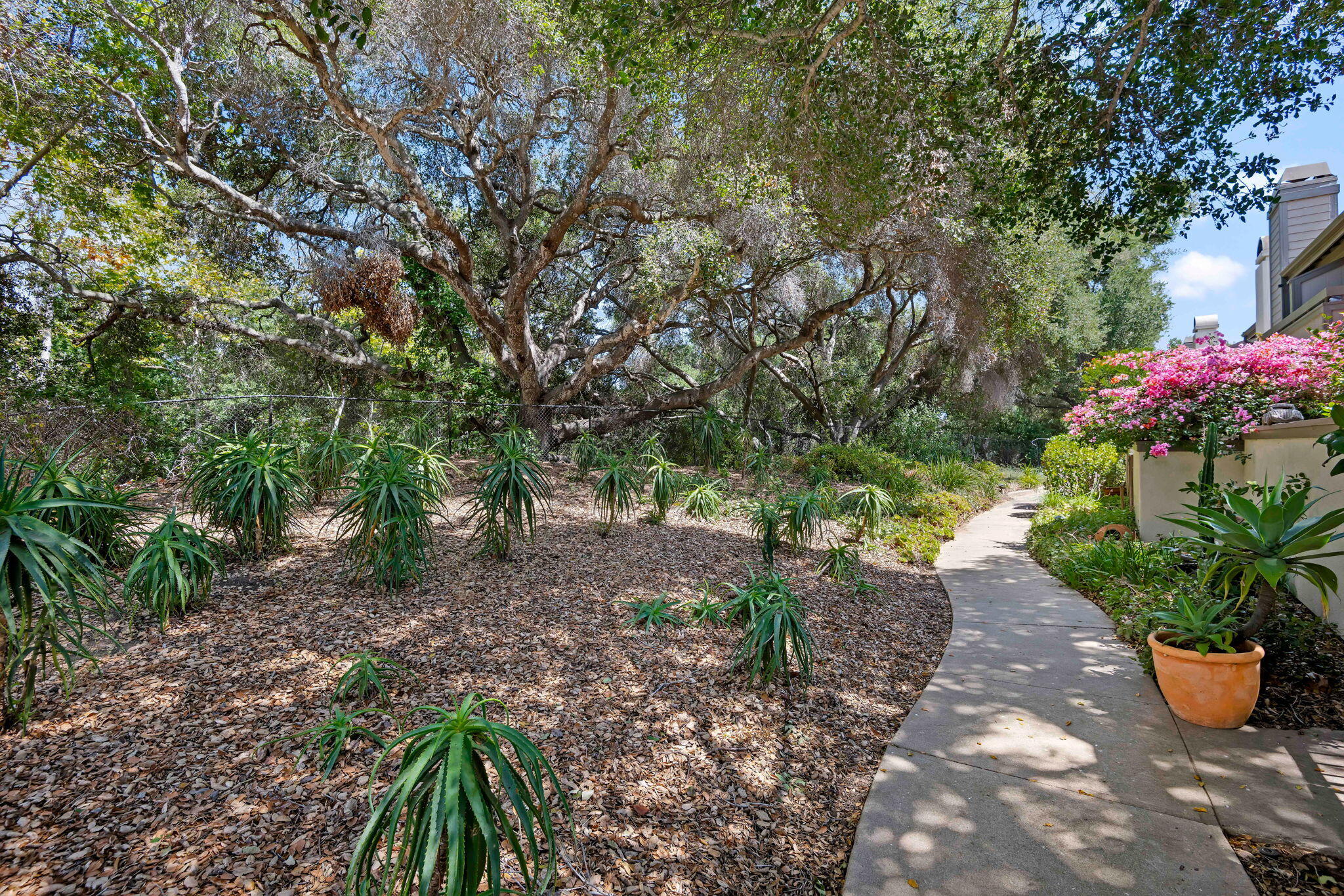 4039 Primavera Road, Unit 5 Santa Barbara, CA 93110 - Photo 29 of 32 Walking Trails
