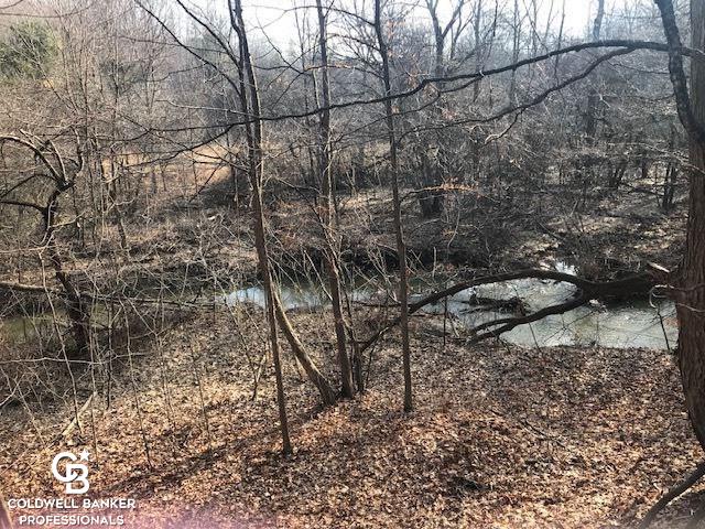V/l Ravenswood Parcel, Unit 2 Goodells, MI 48027 - Photo 4 of 5