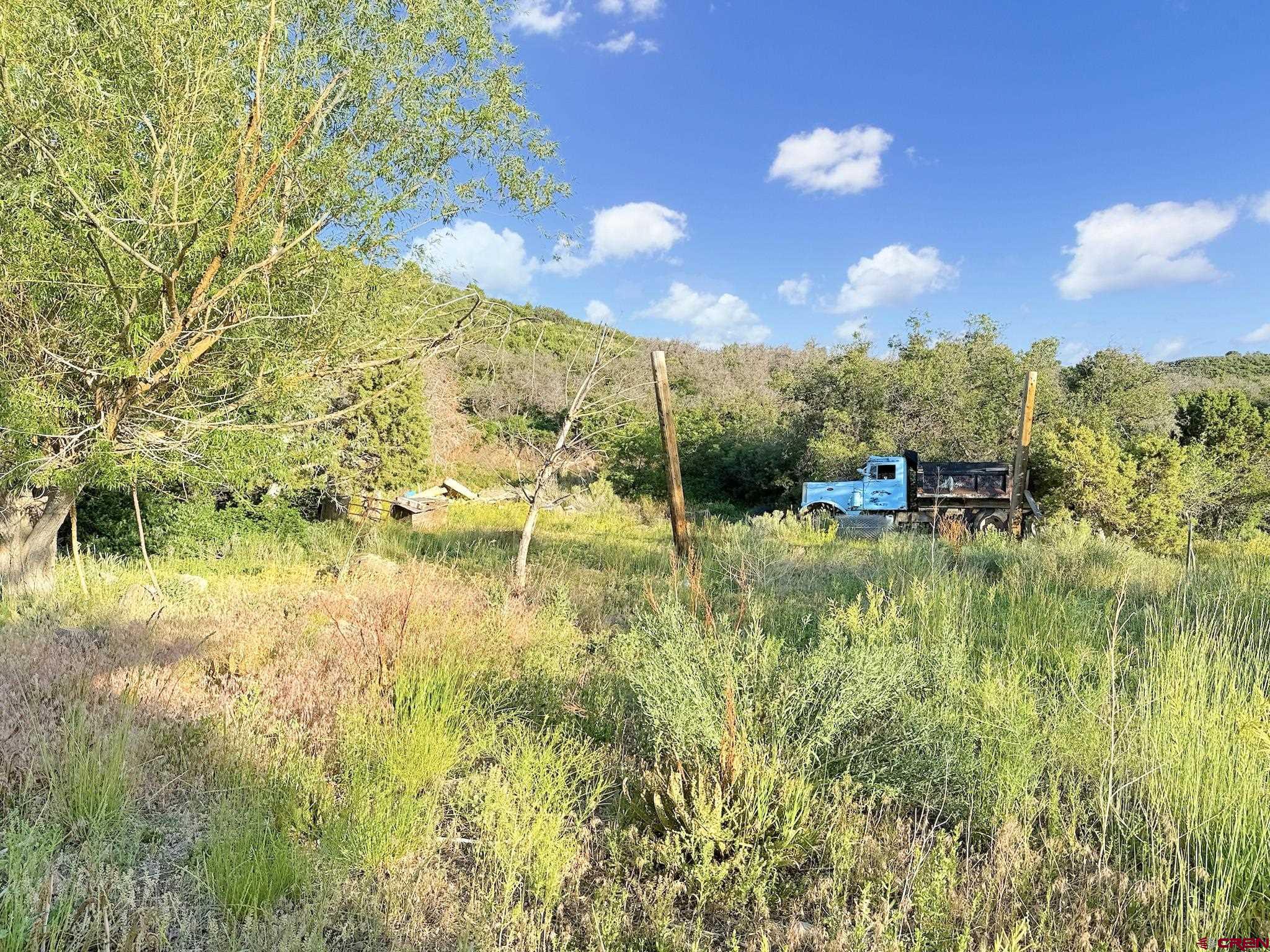 43867 Long Gulch Road Crawford, CO 81415 - Photo 43 of 45