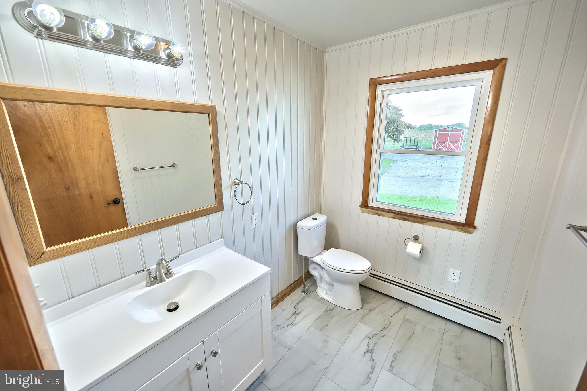 1825 White Hall Road Littlestown, PA 17340 - Photo 49 of 89 a bathroom with a sink mirror and a toilet