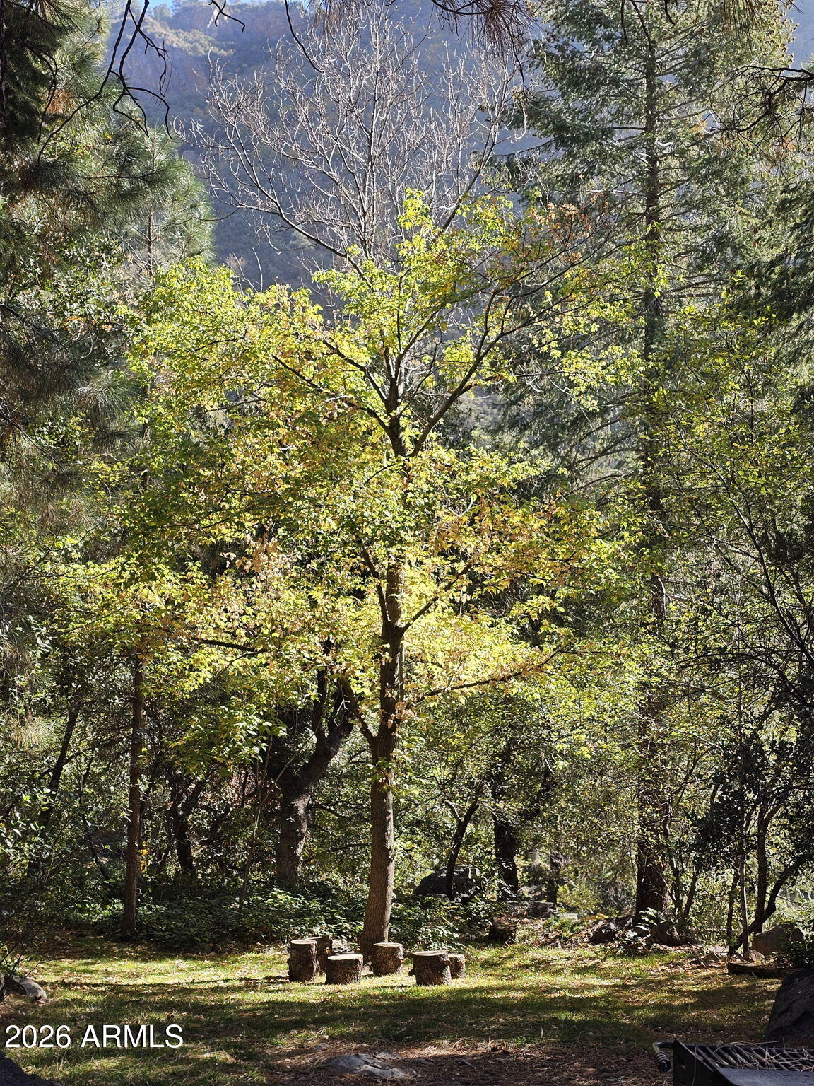 8351 North State Rte 89A, Unit 41 Sedona, AZ 86336 - Photo 38 of 60 Sitting Picnic Area