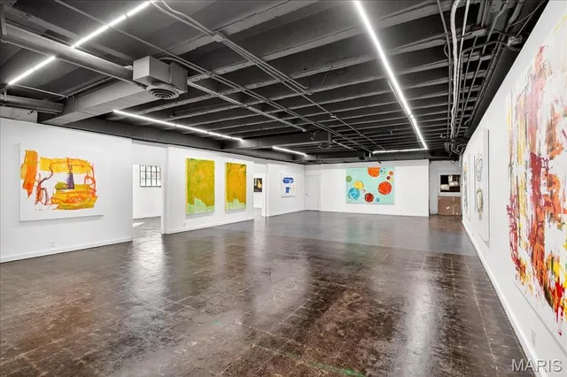 $4,250,000 | 1034 South Kings Highway Boulevard, St. Louis, MO 63110