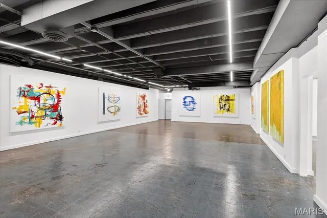 $4,250,000 | 1034 South Kings Highway Boulevard, St. Louis, MO 63110