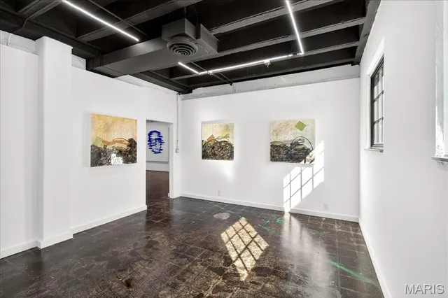 $4,250,000 | 1034 South Kings Highway Boulevard, St. Louis, MO 63110