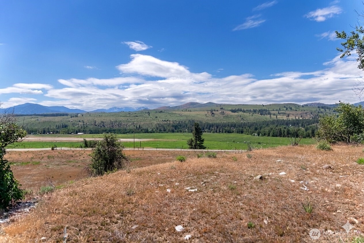 567 Twisp-Winthrop Eastside Road Winthrop, WA 98862 - Photo 1 of 33