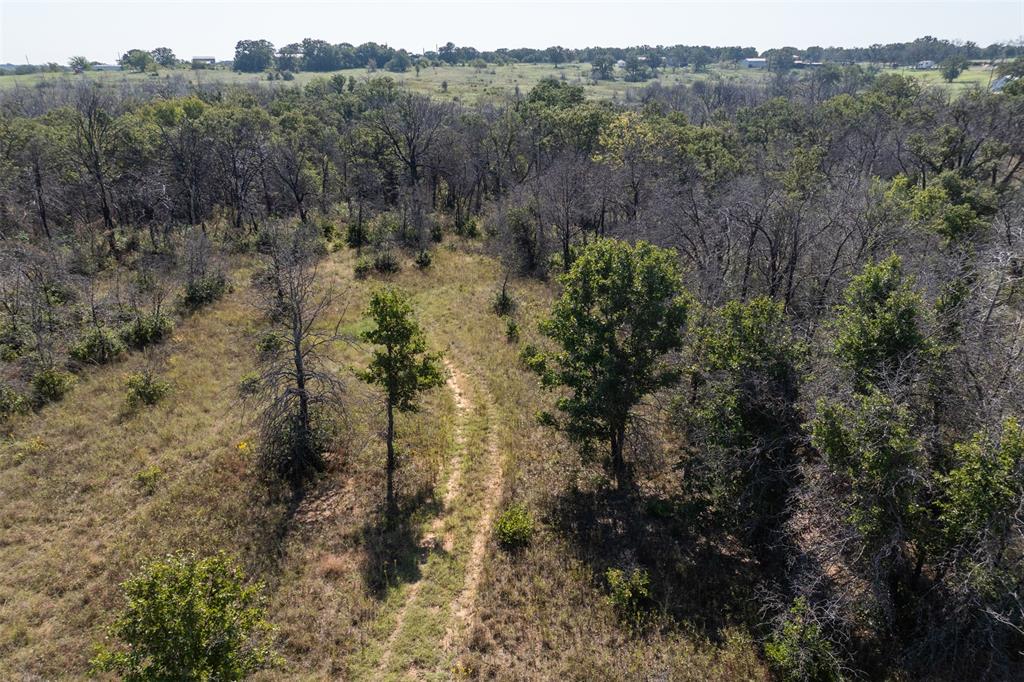 917 Cole Lane Sunset, TX 76270 - Photo 30 of 40 a view of a forest with a forest