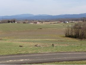 315 Chandler Road Limestone, TN 37681 - Photo 3 of 24 Photo 3