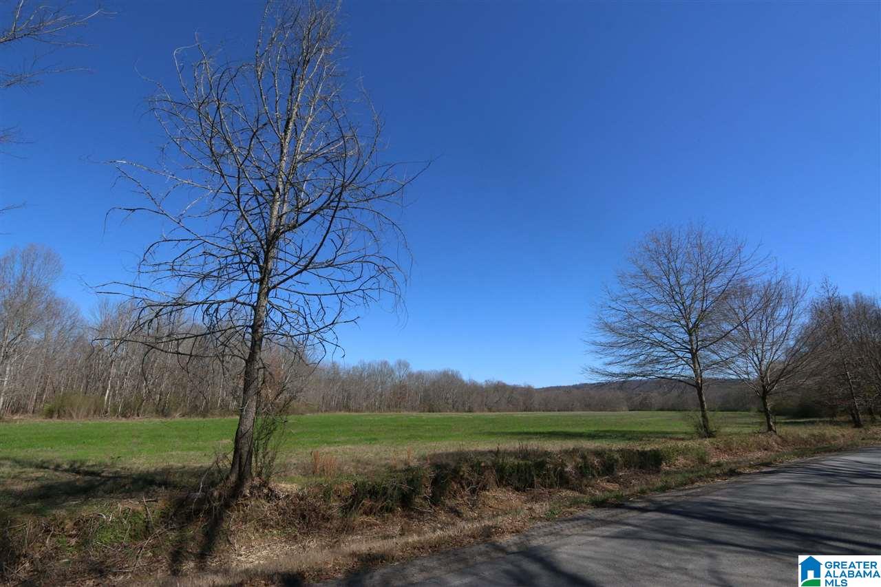 0 Double Bridge Road, Unit 286 Ashville, AL 35953 - Photo 28 of 34