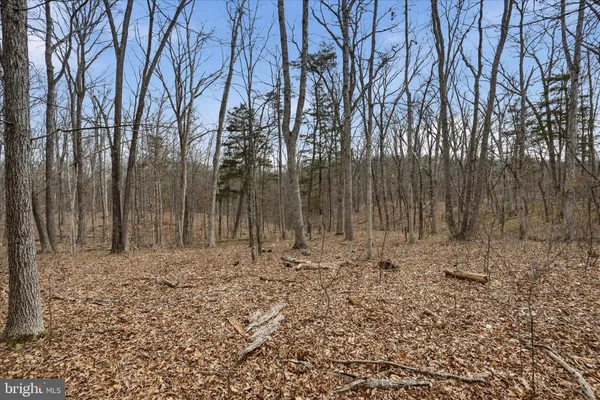 $150,000 | Lot 3 Arapaho Lane, Stephens City, VA 22655